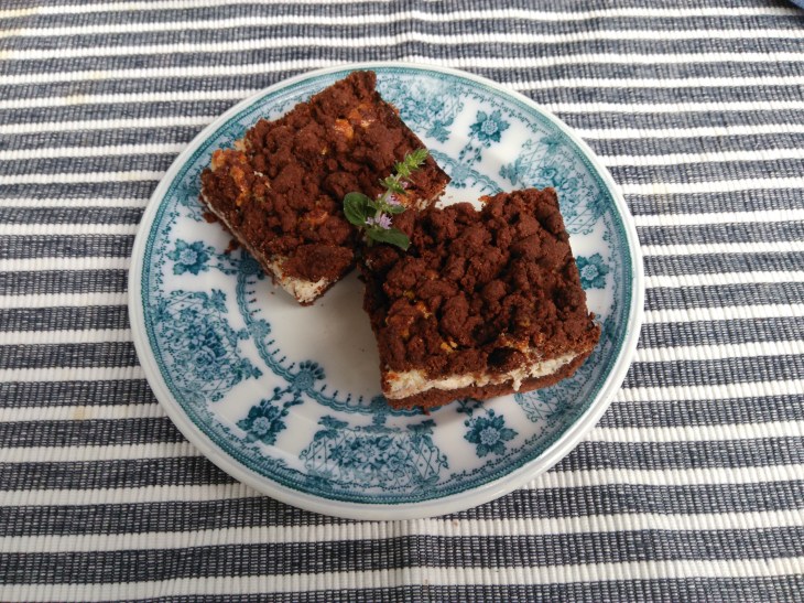 kakaový koláč s tvarohem2